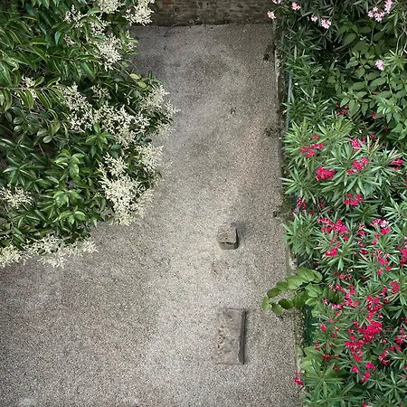 Design Con Giardino